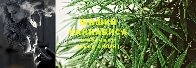 где продают наркотики  Бородино  Канабис SATIVA & INDICA 